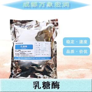 现货批发乳糖酶食品级乳糖酶食品级