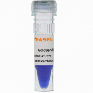 GoldBand 15000 DNA Marker   10512ES
