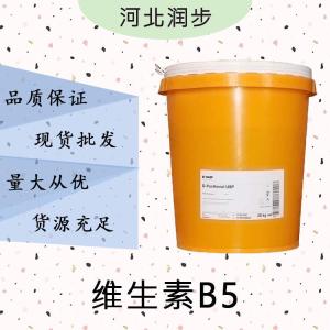 現(xiàn)貨批發(fā)維生素B5食品級(jí) 維生素B5食品級(jí)