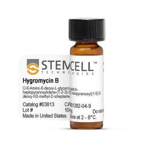 Hygromycin B 03813