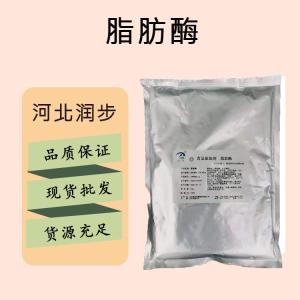 食品添加劑脂肪酶現(xiàn)貨供應(yīng)