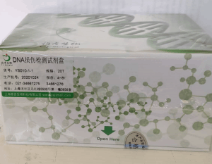 大鼠颗粒酶B(Gzms-B)Elisa试剂盒 产品图片