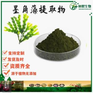 墨角藻提取物 水溶墨角藻粉  墨角藻多糖