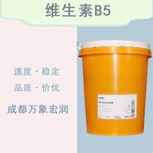 食品添加剂维生素B5现货供应