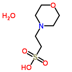 cas145224-94-8 生物缓冲剂MES 2-(N-吗啉)乙磺酸一水物