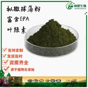 拟微球藻粉 富含EPA  叶绿素  海水小球藻 微拟球藻粉