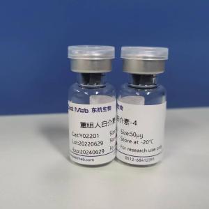 重组人白介素-4(rhIL-4)