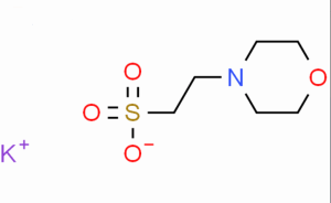 ca39946-25-3生物缓冲剂MES-K 2-(N-吗啉)乙磺酸钾