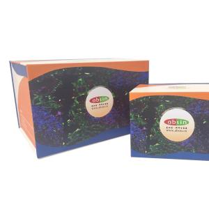 四色多重荧光免疫组化染色试剂盒（鼠兔通用二抗） 产品图片