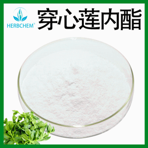 穿心莲内酯98% 规格全定制穿心莲内脂 穿心莲提取物 100g/袋