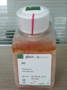 16000-044-Gibco特级胎牛血清FBS【北美】500ml