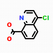216257-37-3CAS号4-氯喹啉-8-羧酸；（科研试剂/现货供应，质量保证）