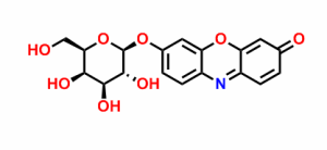 试卤灵Β-D-半乳糖吡喃糖苷 CAS 号:95079-19-9 科研实验 优势供应