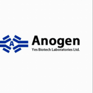 Anogen