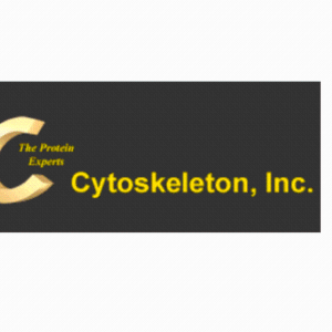 Cytoskeleton抗体