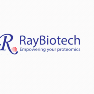 raybiotech抗体