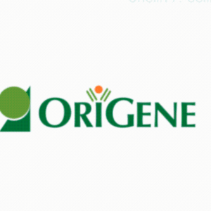 Origene