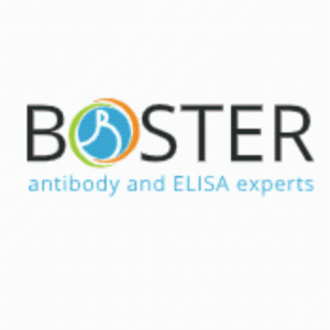 BosterBio试剂盒