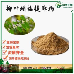 柳叶蜡梅提取物  柳叶蜡梅速溶粉