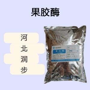 果膠酶食品原料 果膠酶食品添加劑