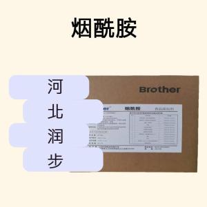 煙酰胺食品原料 煙酰胺食品添加劑