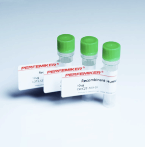  [Perfemiker]rHu PD-1-Fc蛋白|重组人PD-1/PDCD1蛋白 (Fc标签) Recombinan