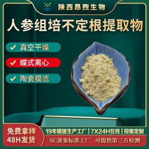 人参组培不定根提取物总皂苷14% 工厂直供人参组培不定根皂苷不含辅料 现货