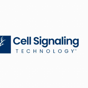 Cell Signaling Technology(CST)产品