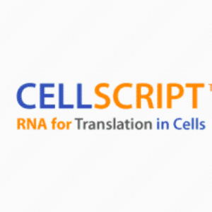 cellscript产品