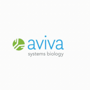 美国aviva systems biology抗体