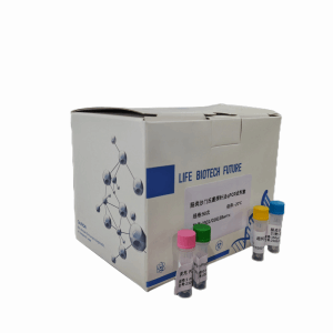 反刍兽艾利希体PCR试剂盒 产品图片