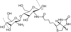 biotinylatedchitosan生物素化壳聚糖 Biotin-Chitosan 常规现货