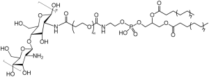 壳聚糖修聚乙二醇磷脂DSPE-PEG-Chitosan 