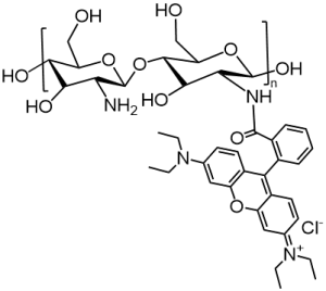 红色荧光罗丹明RB标记壳聚糖 Chitosan-Rhodamine B 壳聚糖-罗丹明B