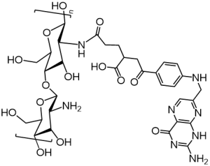 壳聚糖-叶酸修饰壳聚糖Chitosan-FA 叶酸-壳聚糖