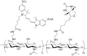 Cy3/Cy5/Cy5.5/Cy7/Cy7.5-HA-Biotin荧光标记生物素化透明质酸