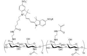 Cy3/Cy5/Cy5.5/Cy7/Cy7.5-HA-MA 荧光物质标记甲基丙烯酸酯化透明质酸