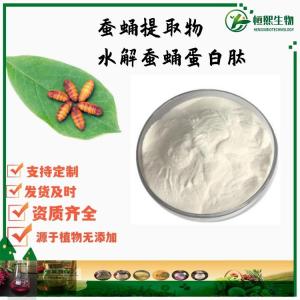 蚕蛹肽 98%蚕蛹蛋白粉 蚕蛹提取物 水解蚕蛹蛋白肽