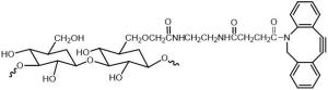 Dextran-DBCO 二苯基环辛炔功能化葡聚糖 ?DBCO-Dextran