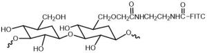 Dextran-FITC 绿色荧光FITC荧光素标记葡聚糖FITC -Dextran