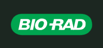 Bio-Rad抗体