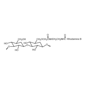 Dextran-Rhodamine B 红色荧光罗丹明标记葡聚糖Rhodamine B -Dextran