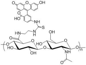 荧光标记透明质酸 FITC-Hyaluronate Acid RB-Hyaluronate Acid