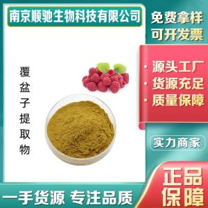 覆盆子提取物CAS：84929-76-0覆盆子提取物 水溶 覆盆子粉 浓缩粉 树莓提取物