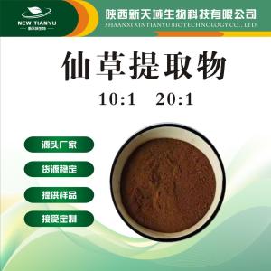 仙草提取物     凉粉草